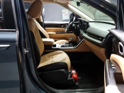 Kia Carnival 6